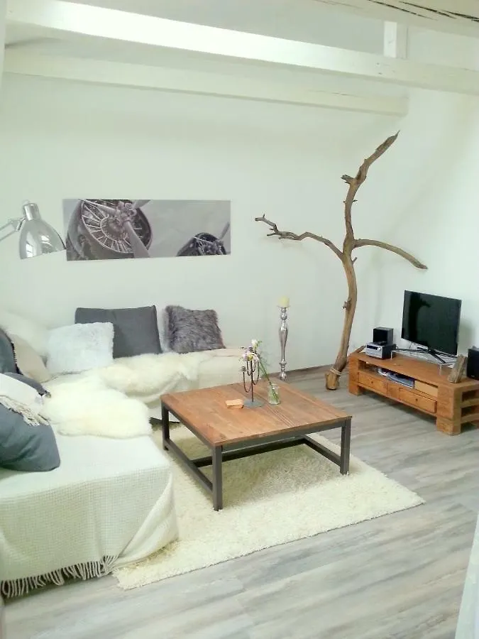 Loft Im Turmhaus Am Weissen Hirsch Apartment Dresden